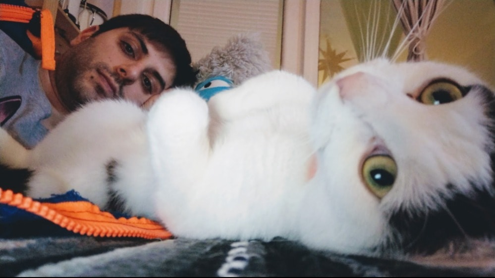 image-6