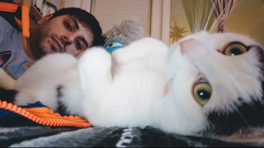 image-6