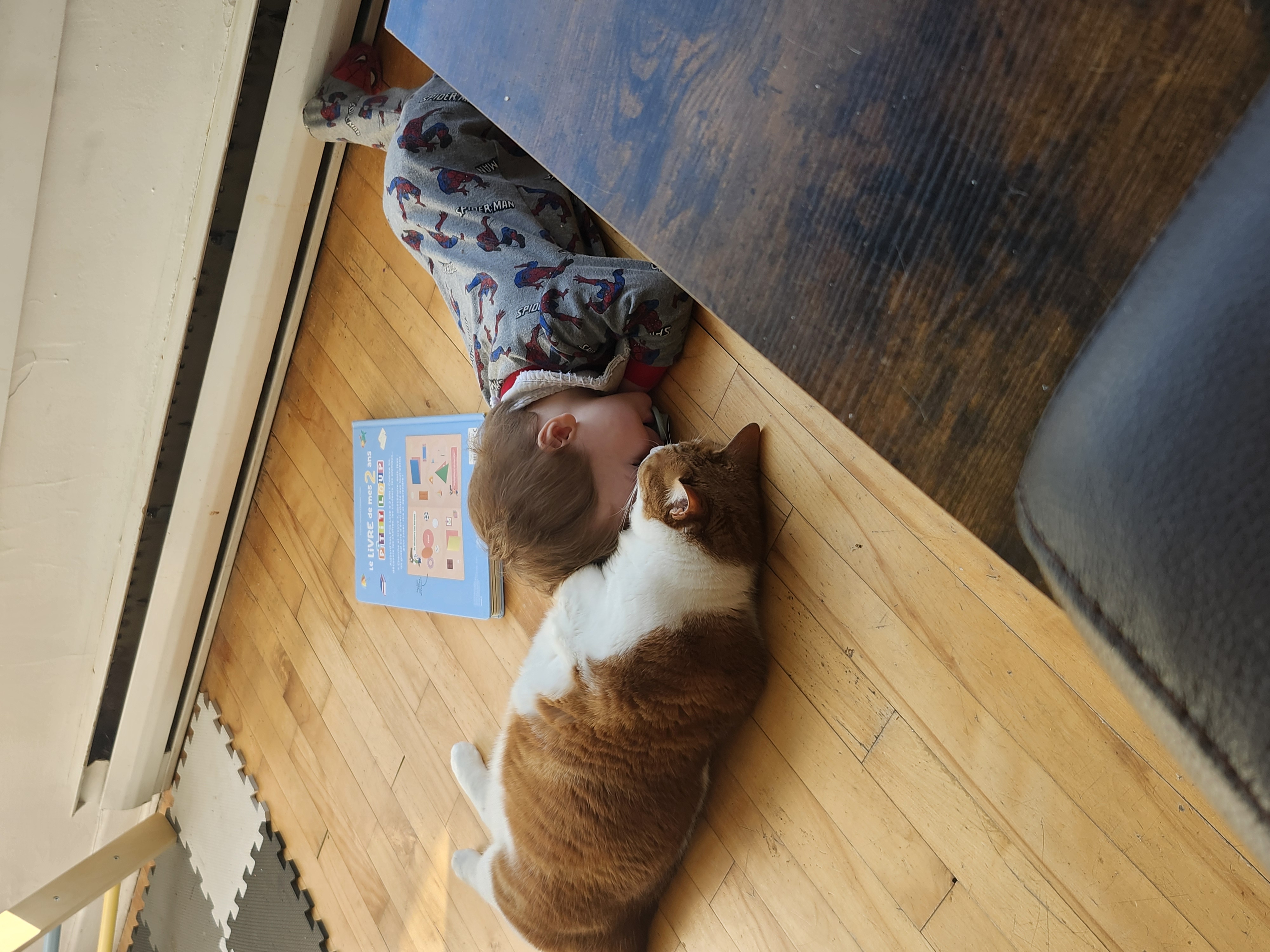 image-6