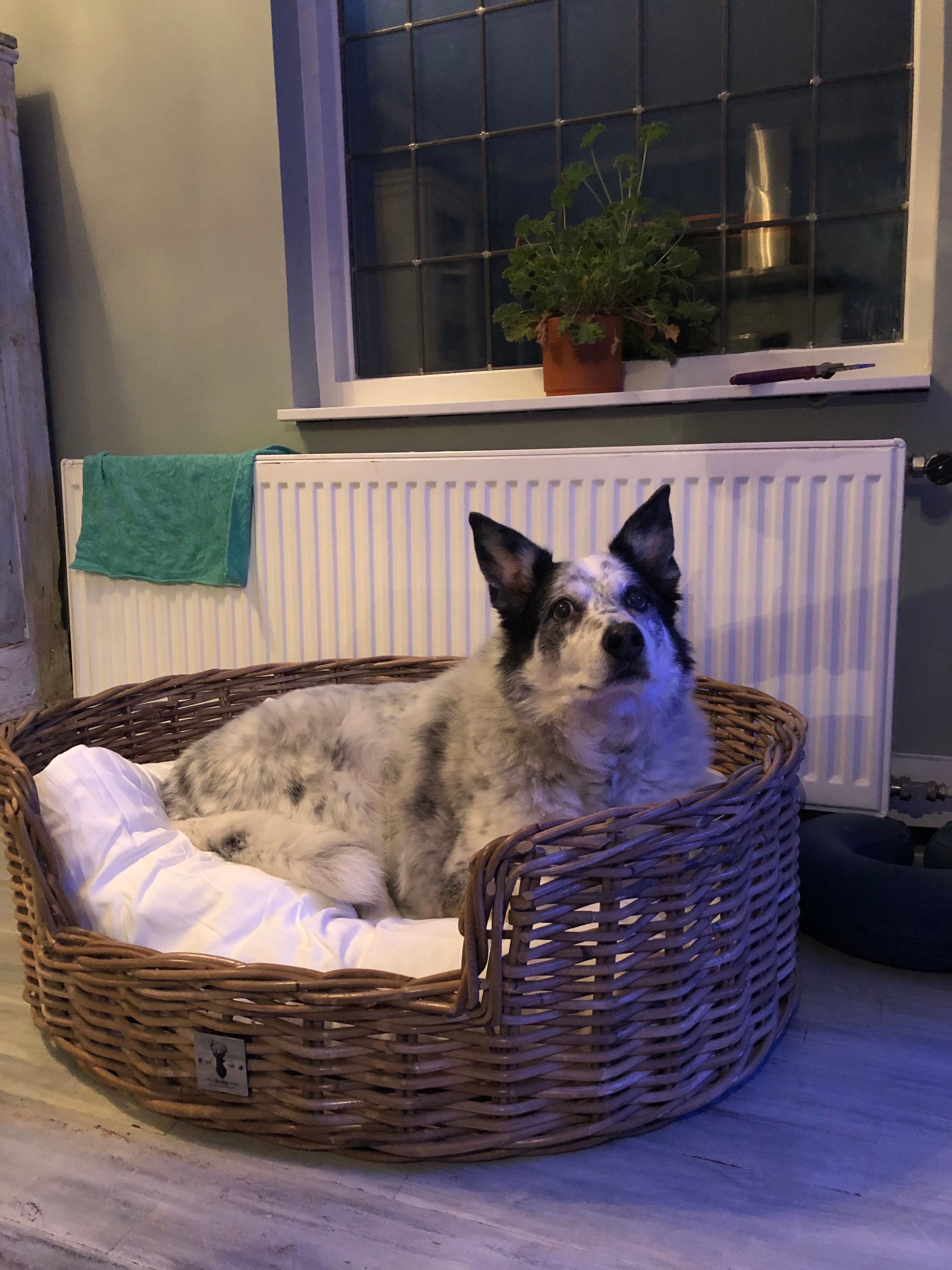 image-7