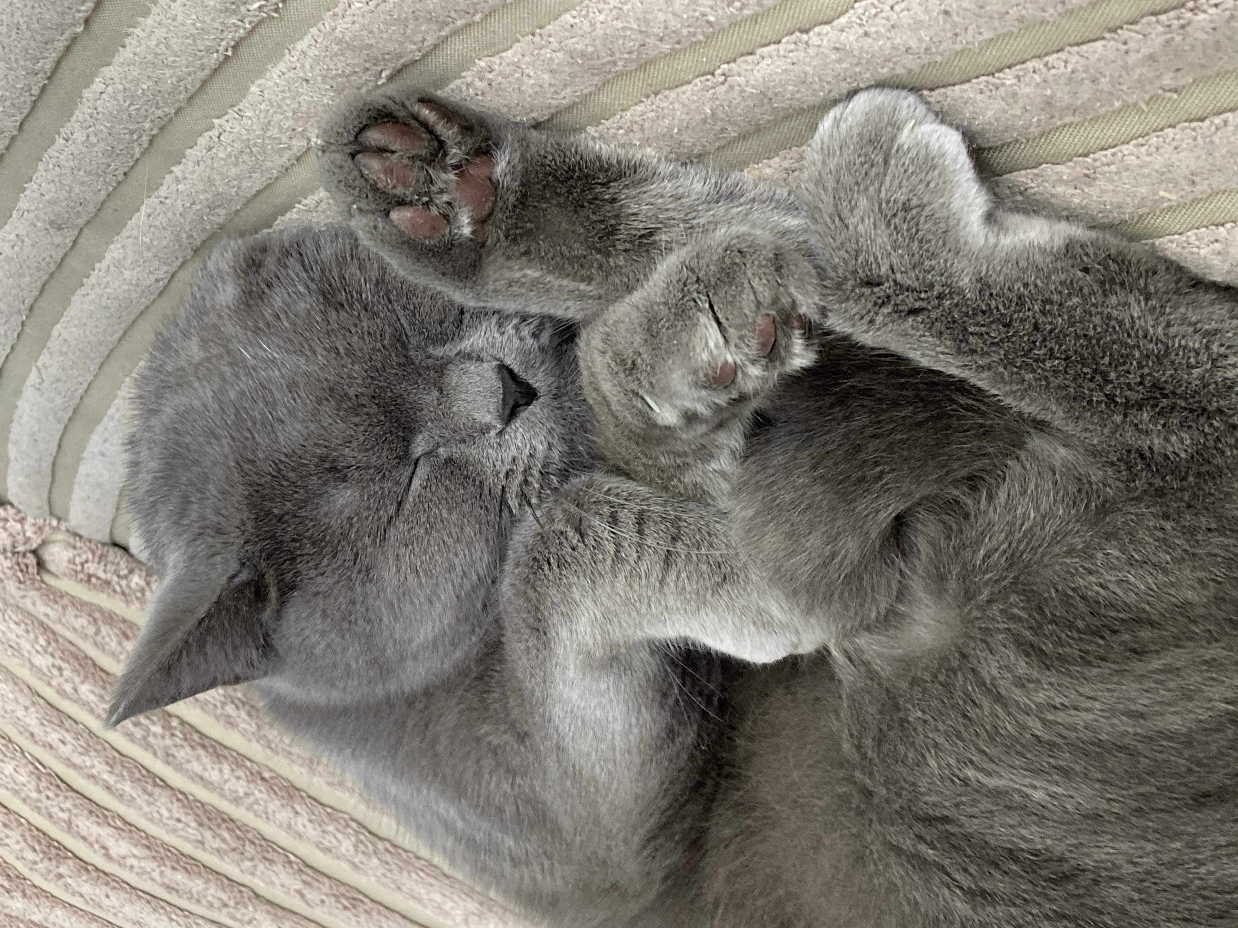 image-6