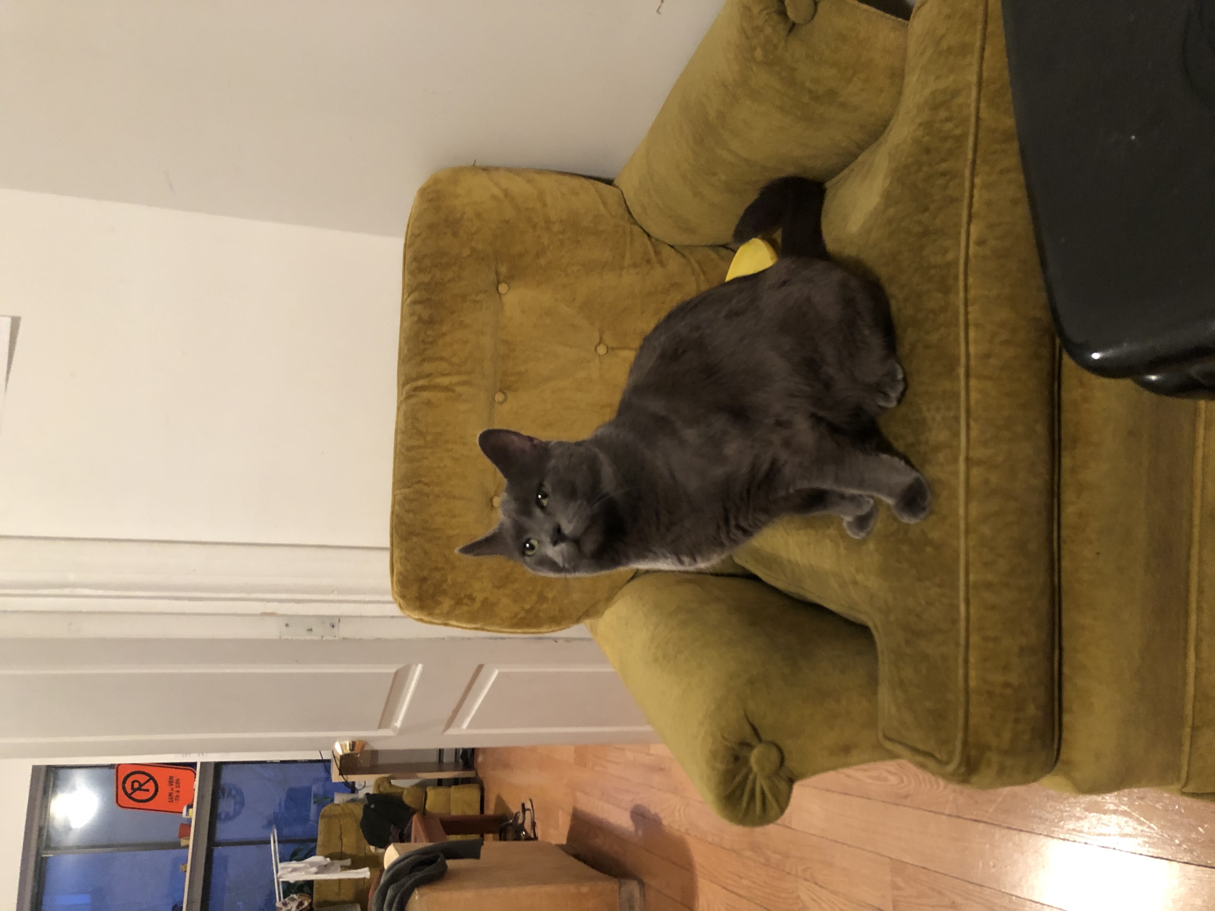 image-14
