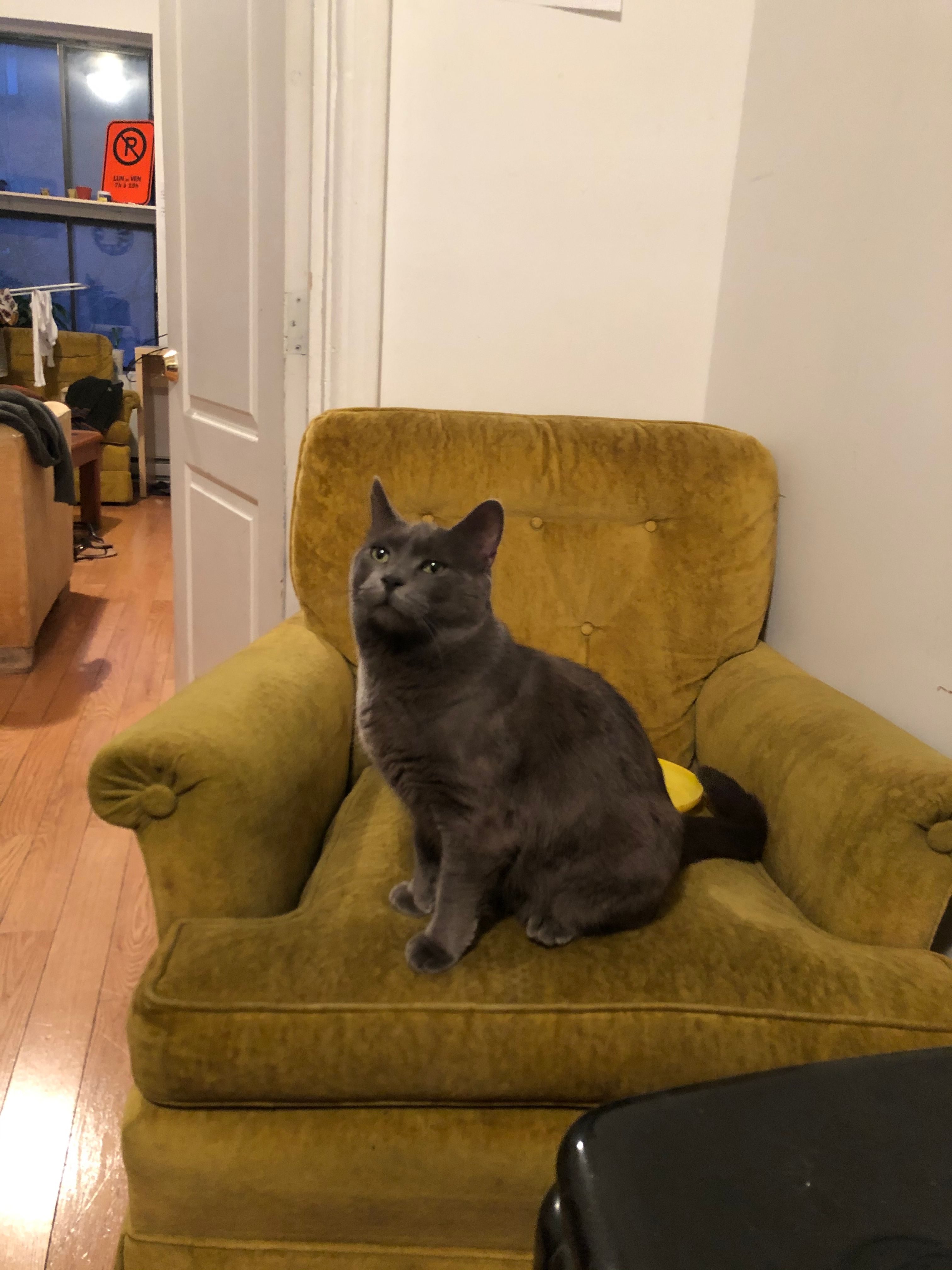 image-14