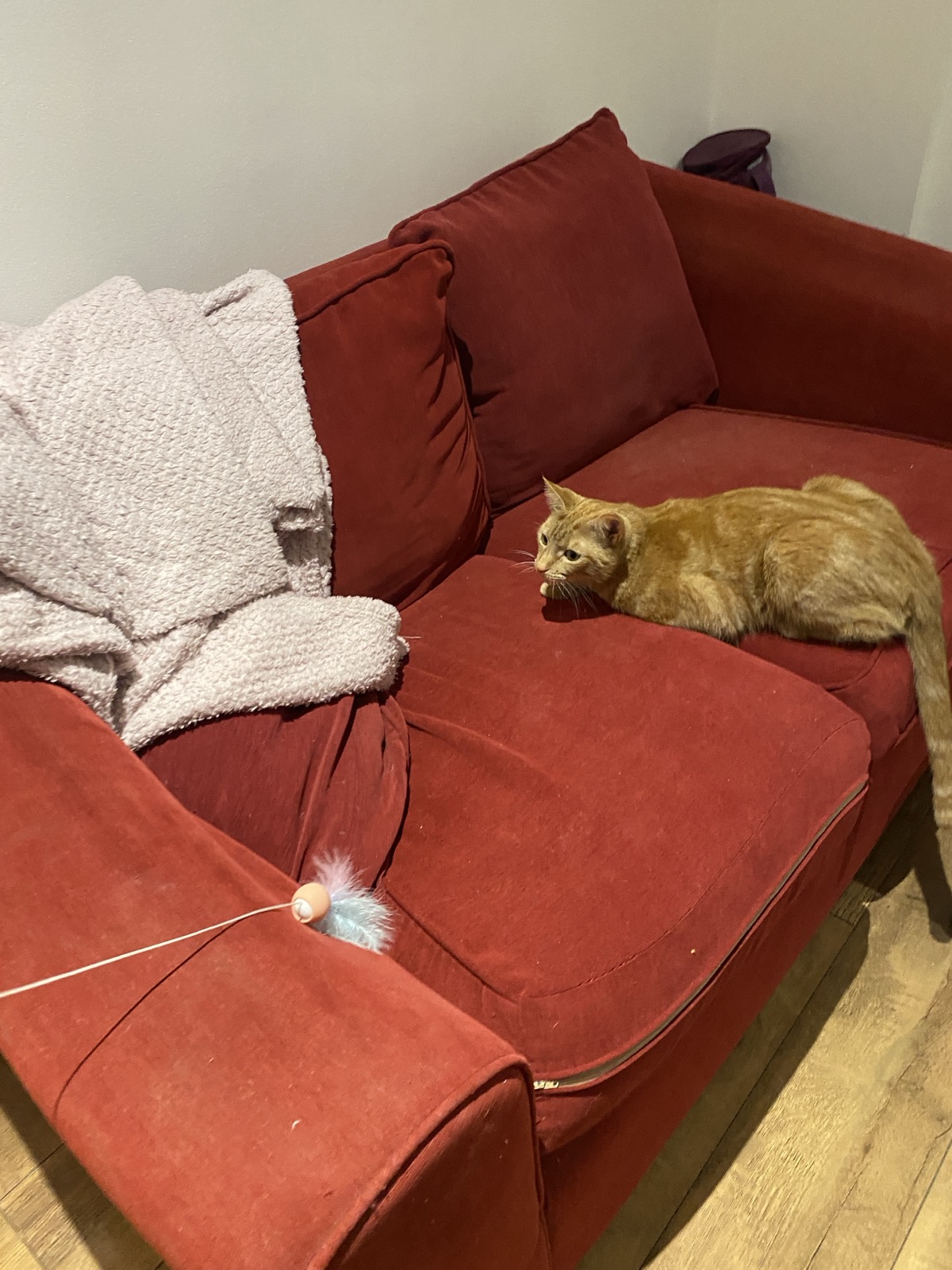 image-8