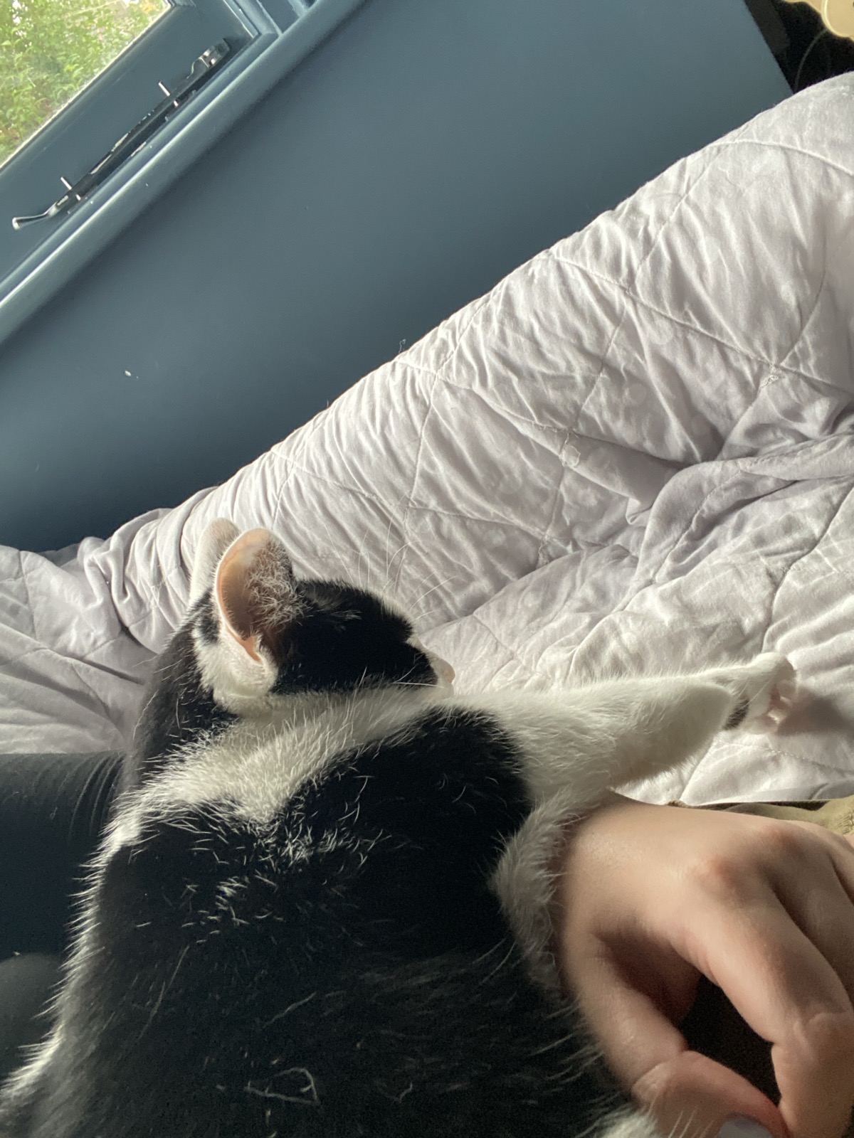 image-6
