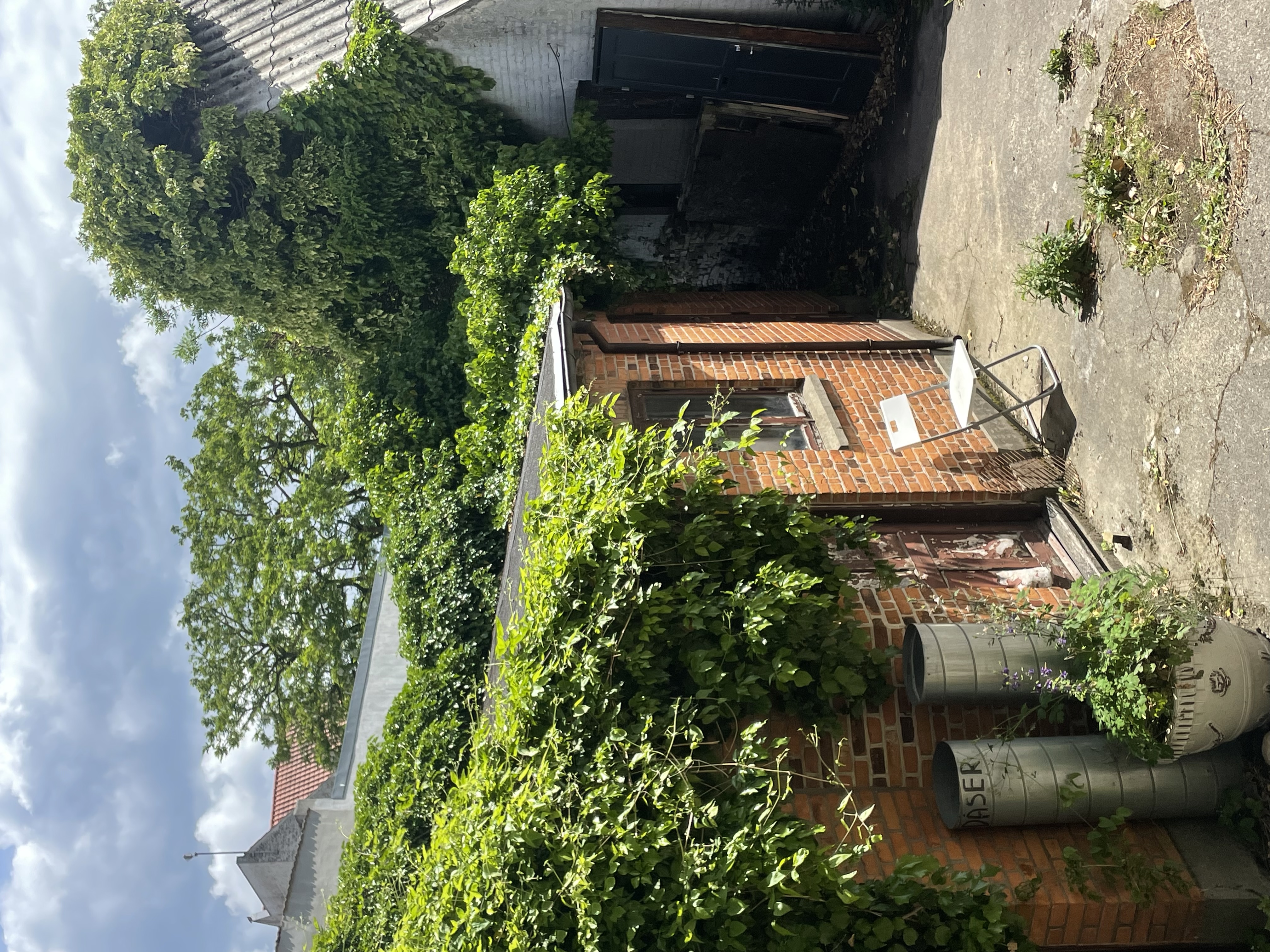 image-19