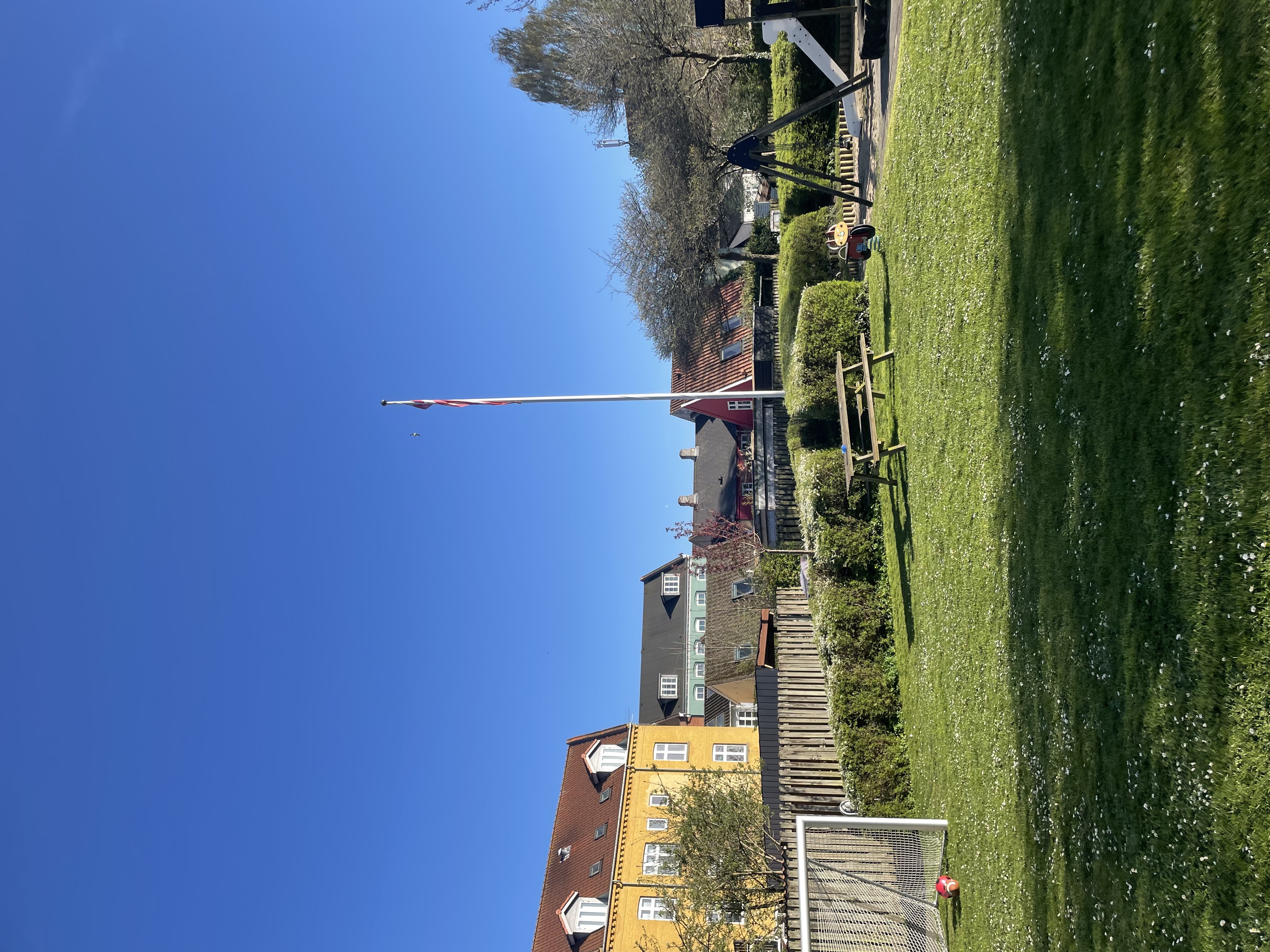 image-20