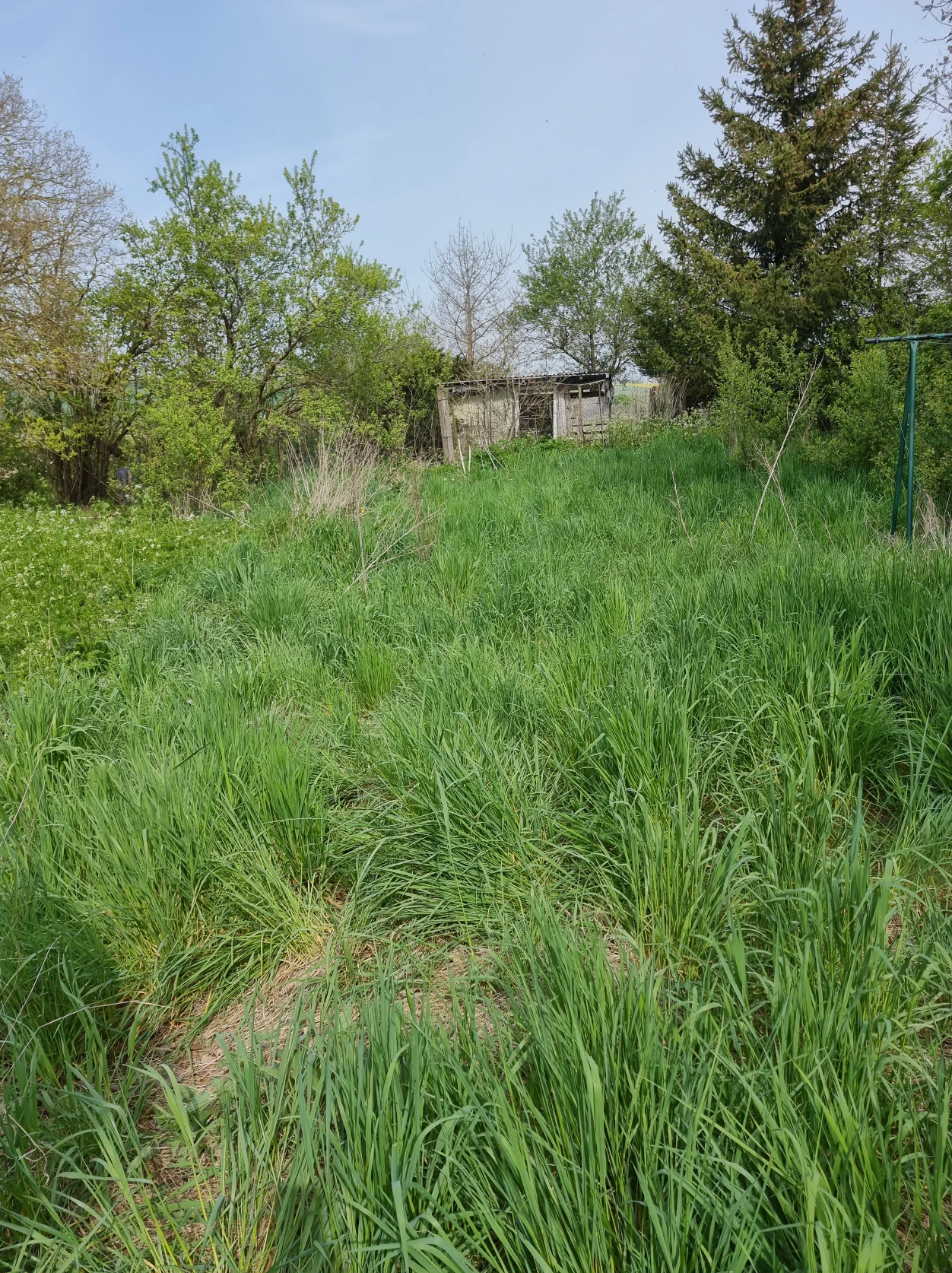 image-36