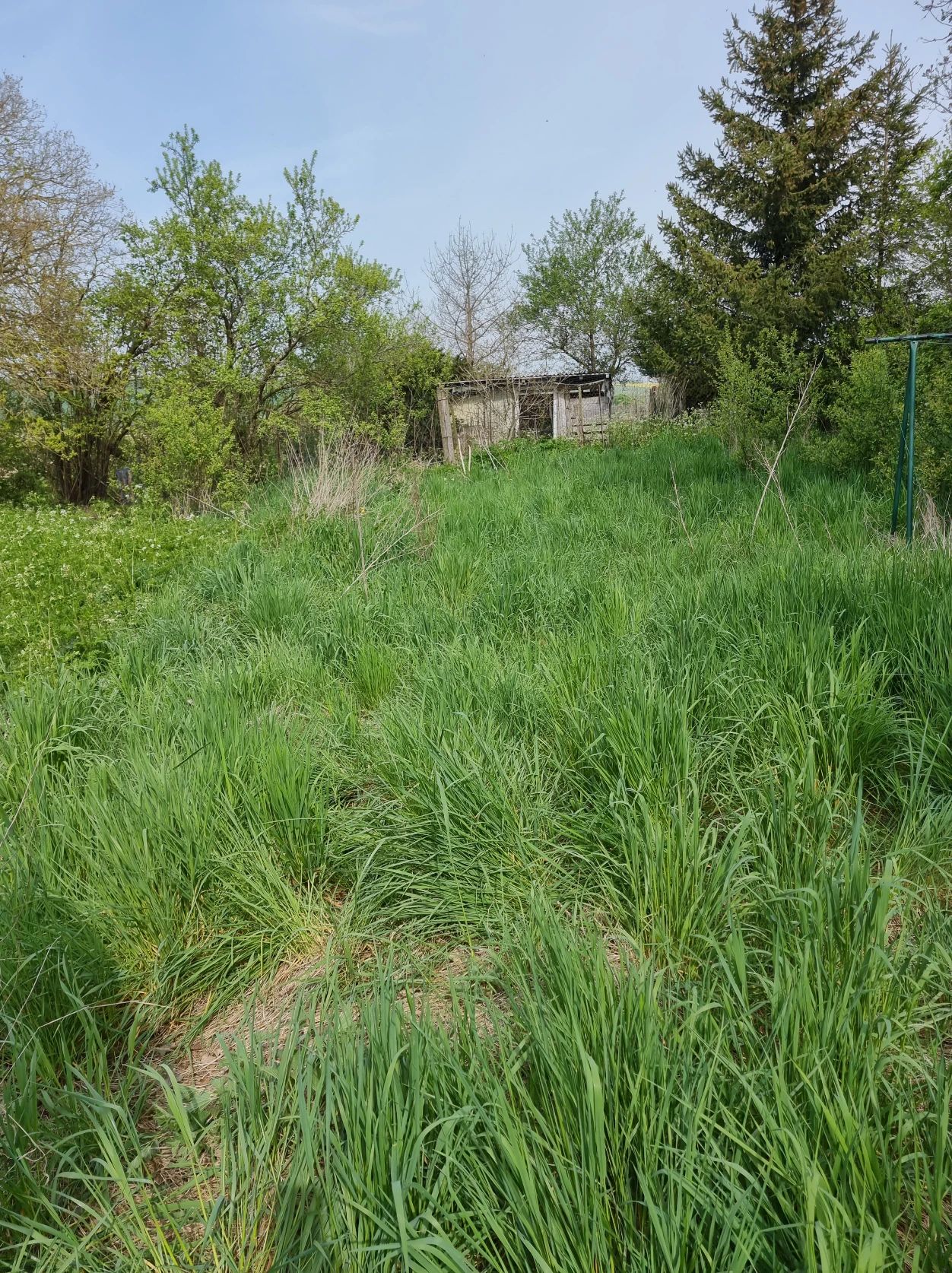 image-36