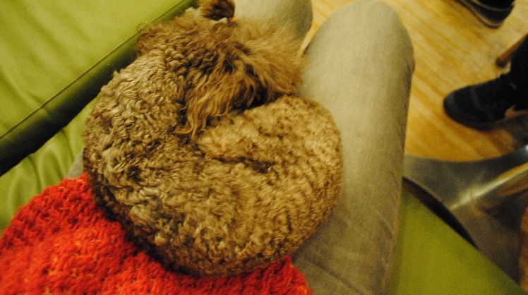image-6