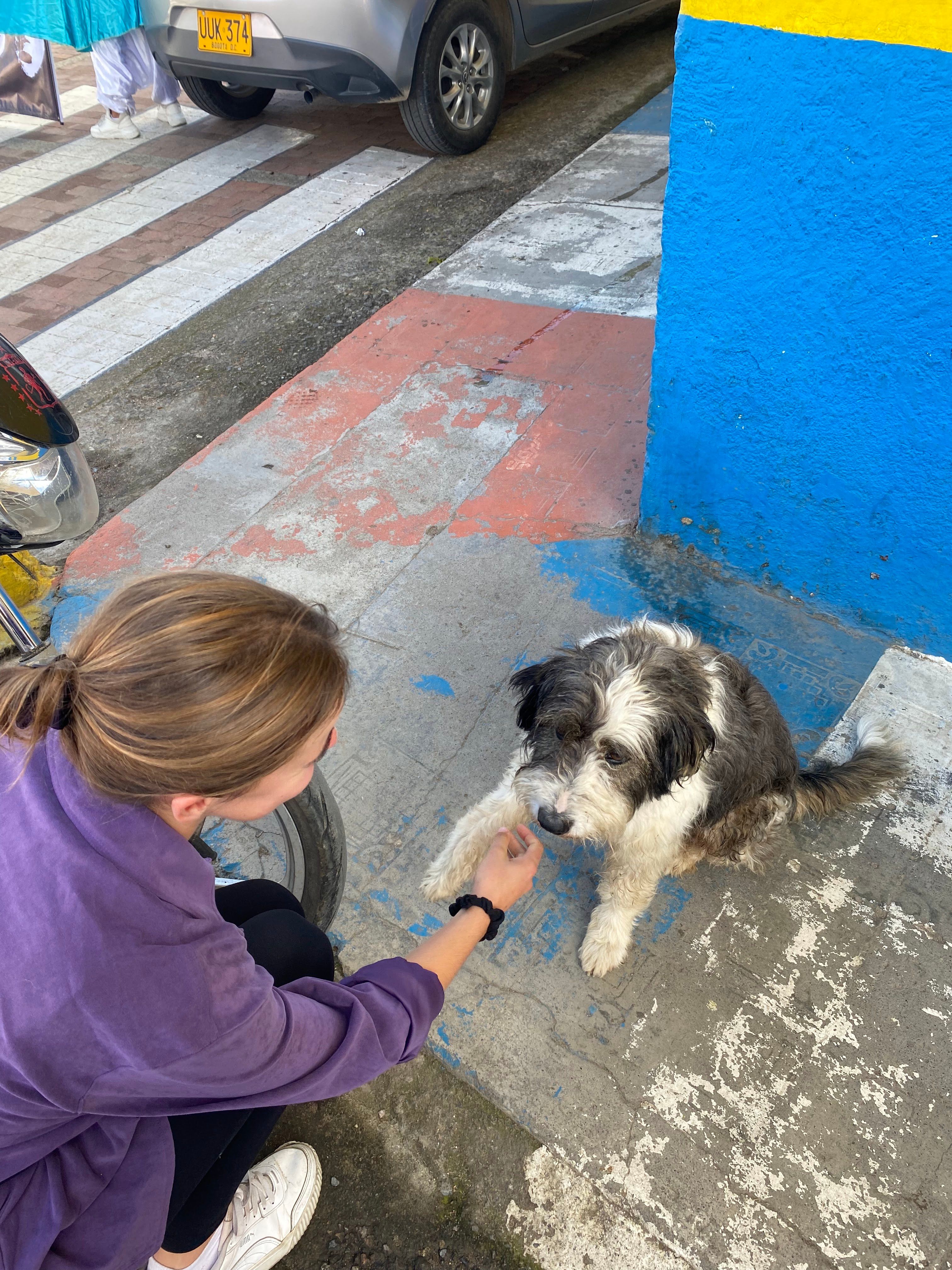 image-7