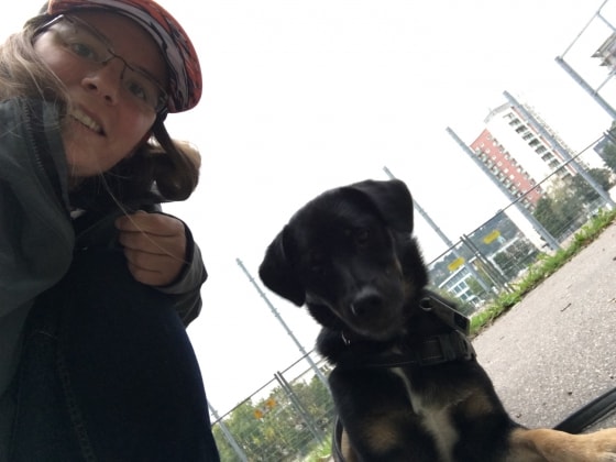 image-5