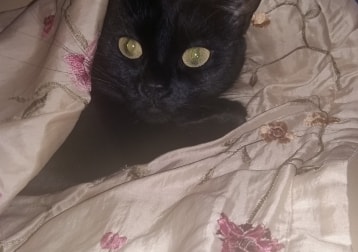 Sapphire