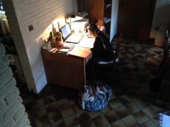 image-27