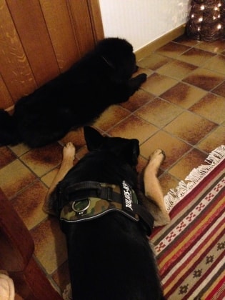 image-52