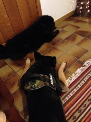 image-52