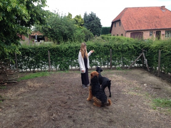 image-49