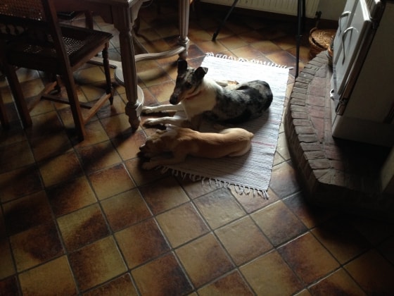 image-17