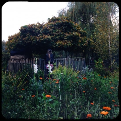 image-16