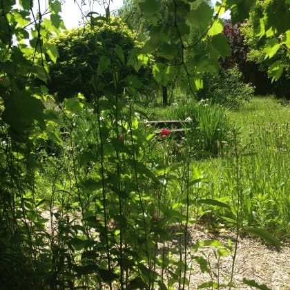 image-2