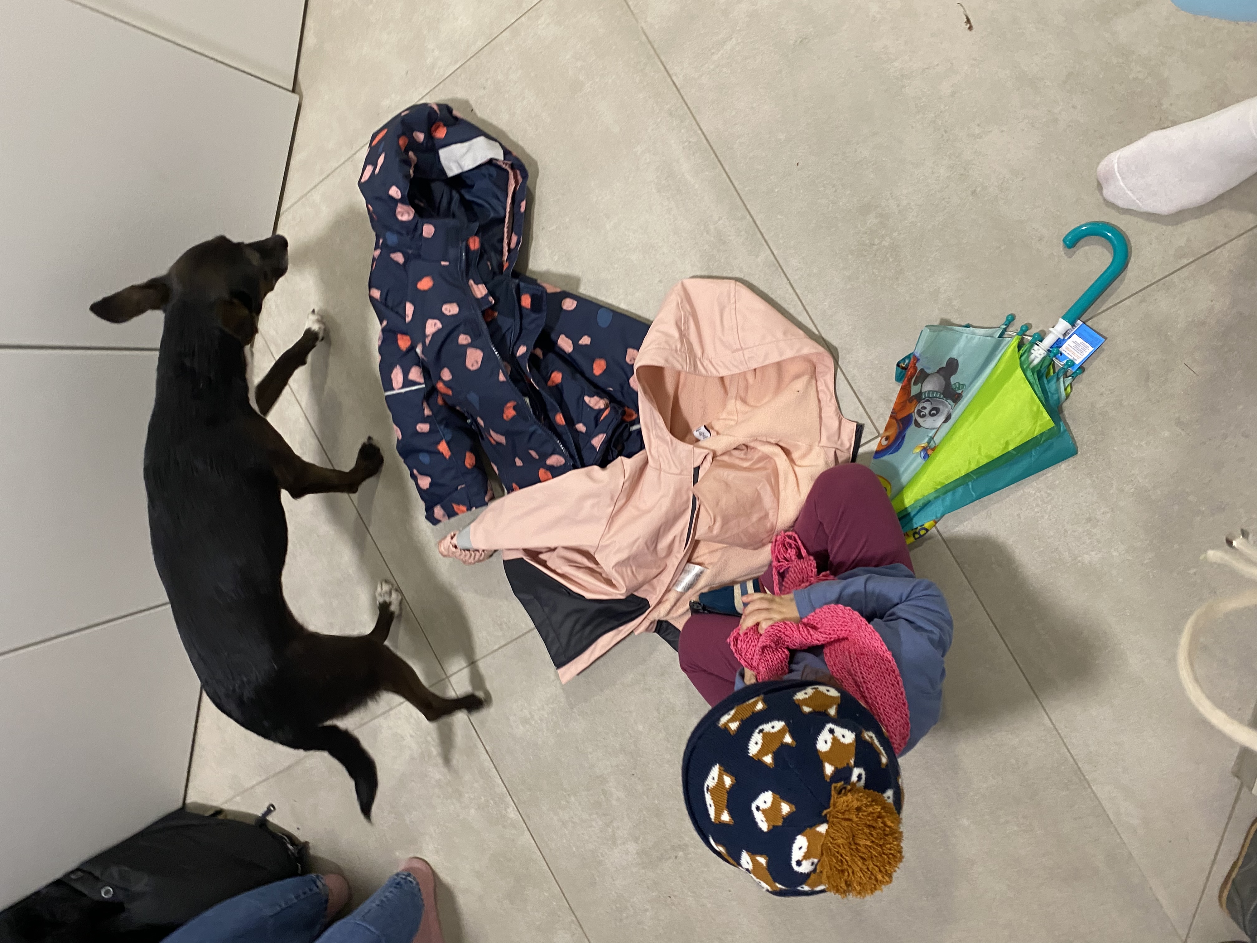 image-12