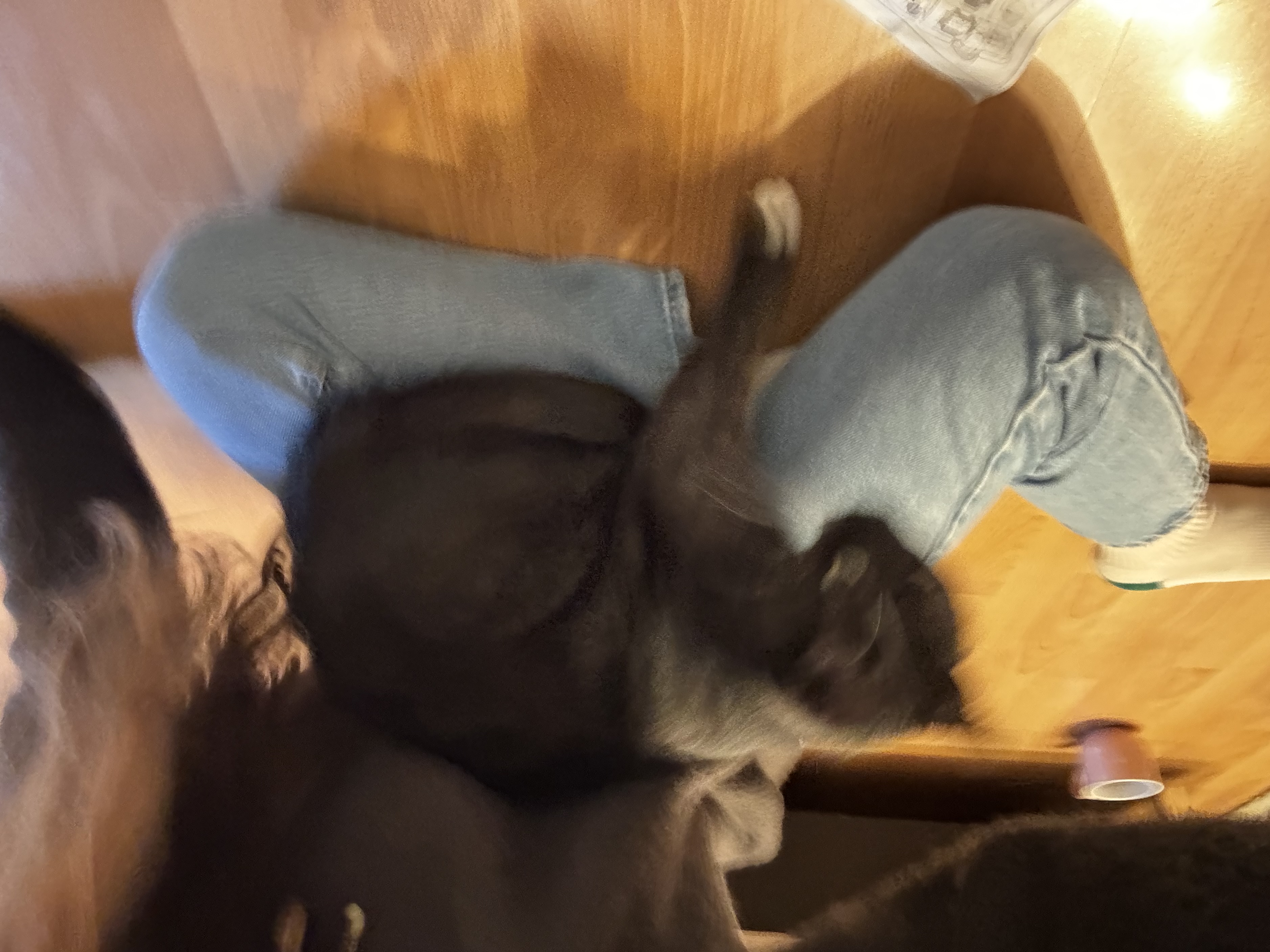 image-6