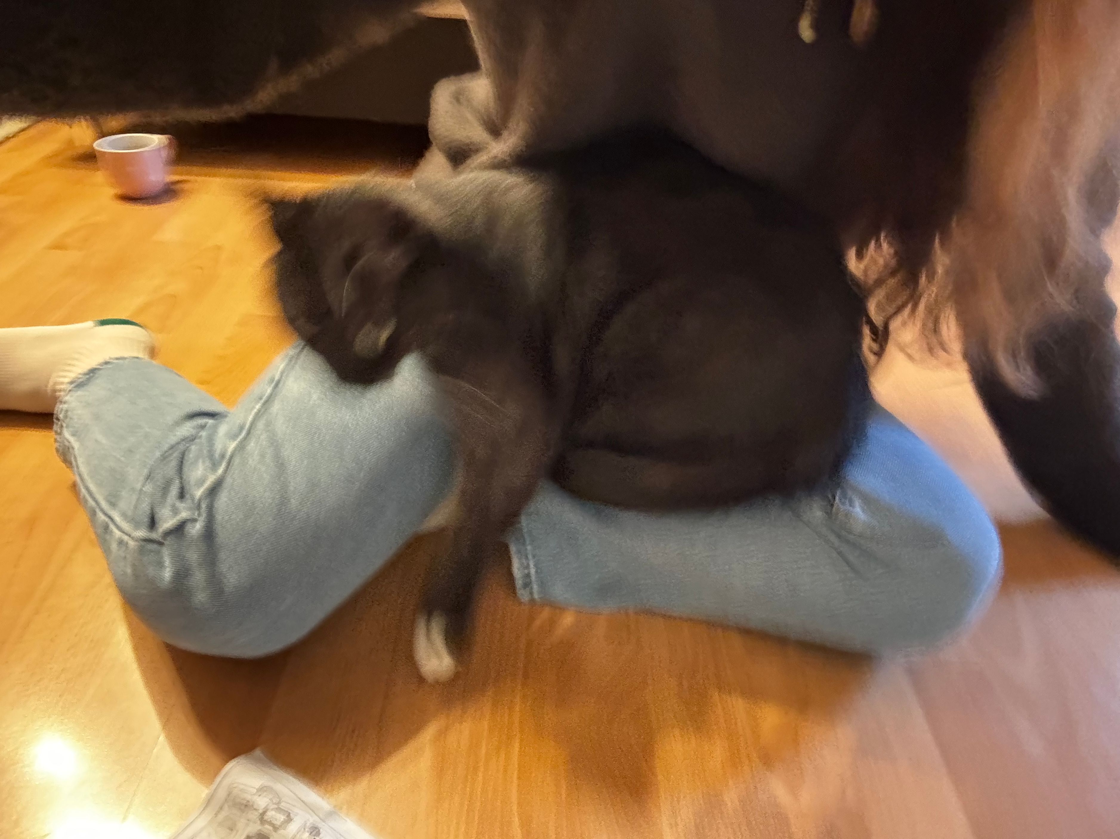 image-6