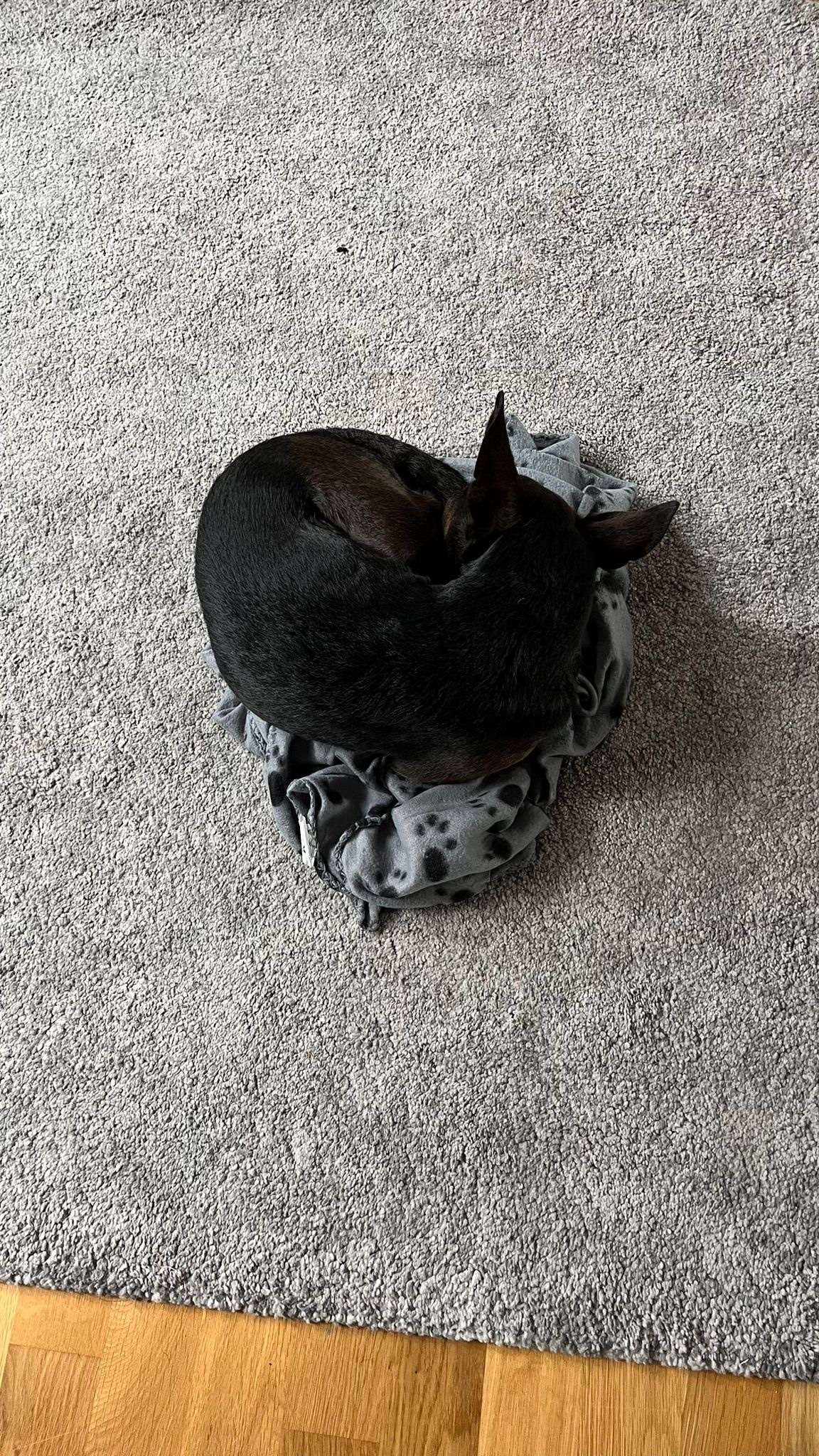 image-11