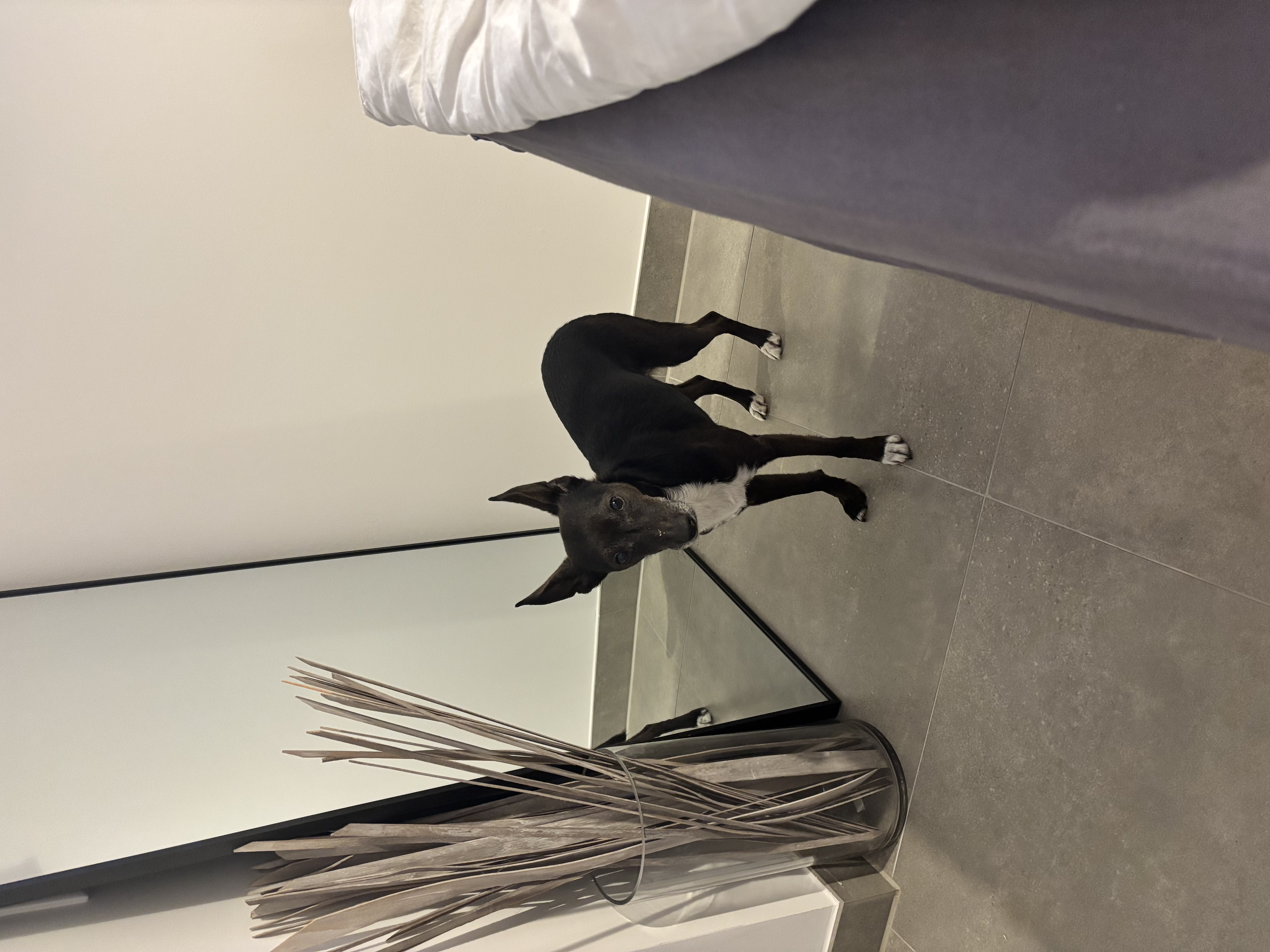 image-16