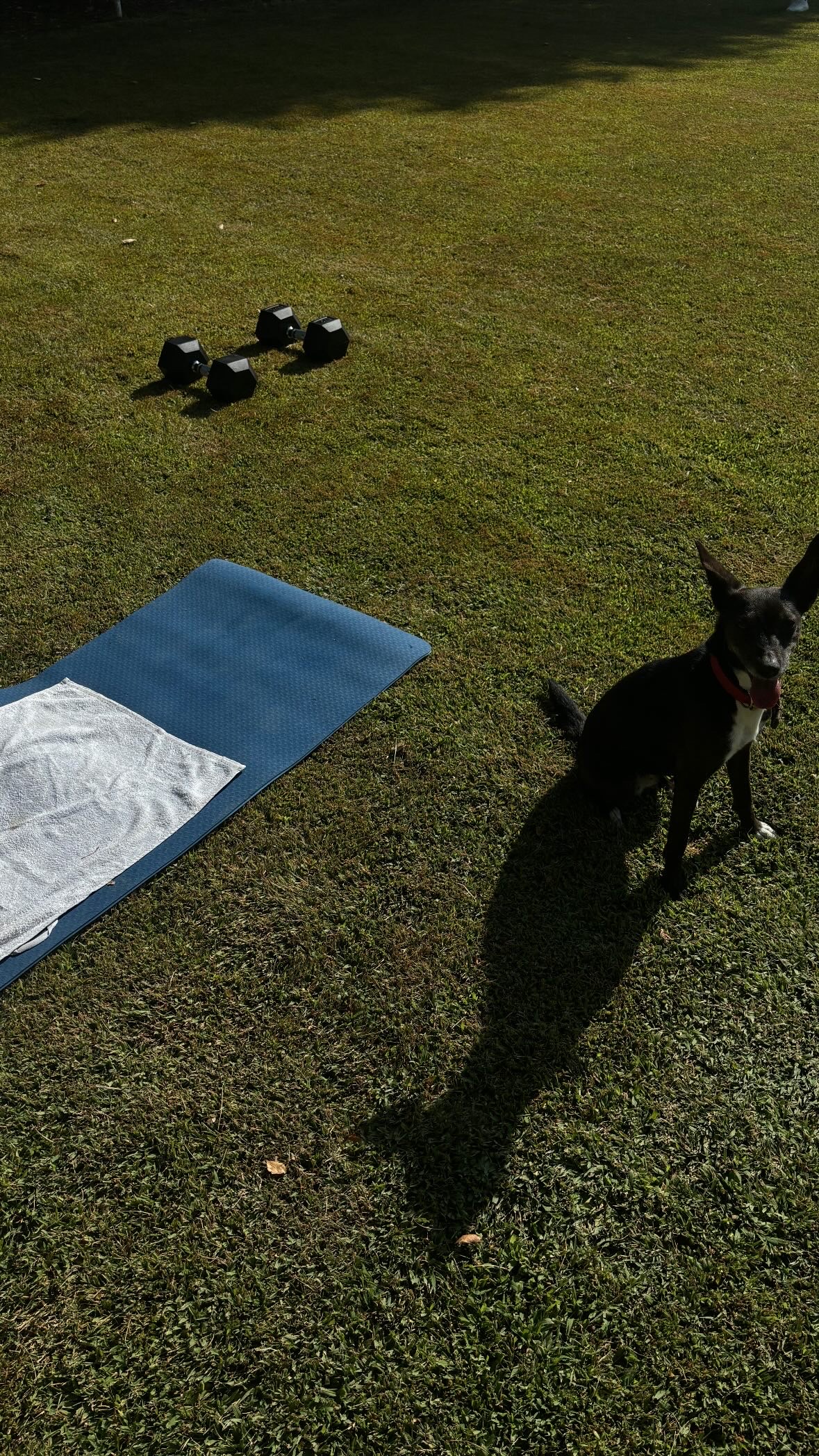 image-8
