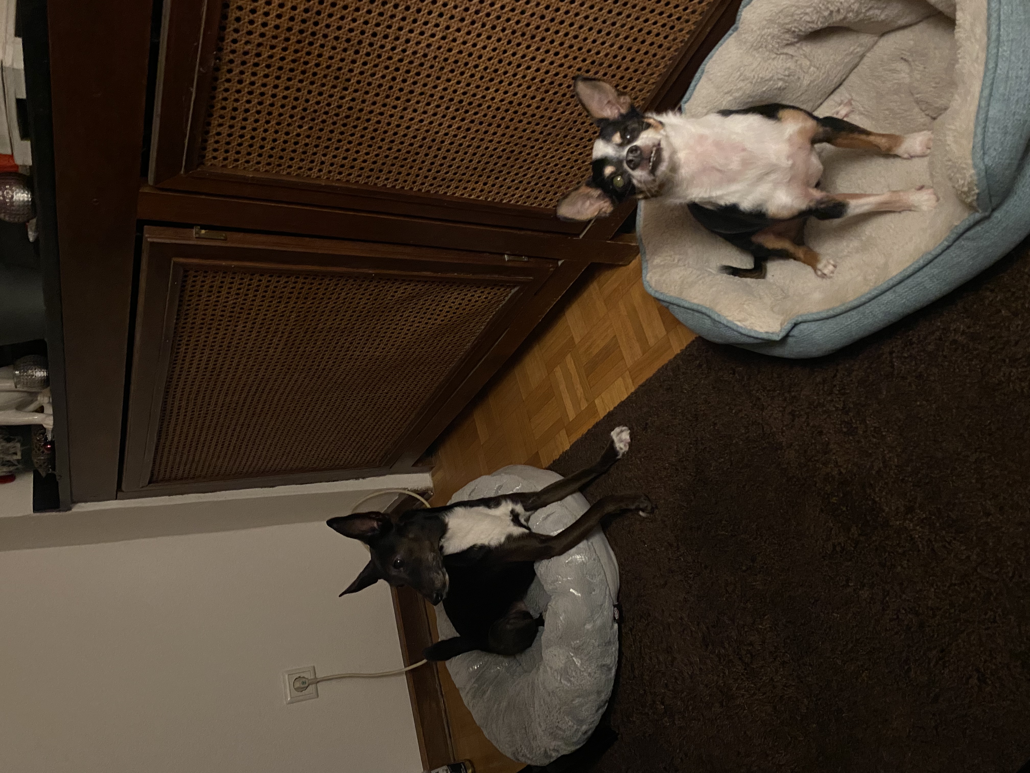 image-10