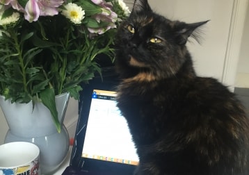 Bella