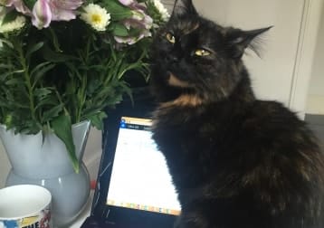 Bella