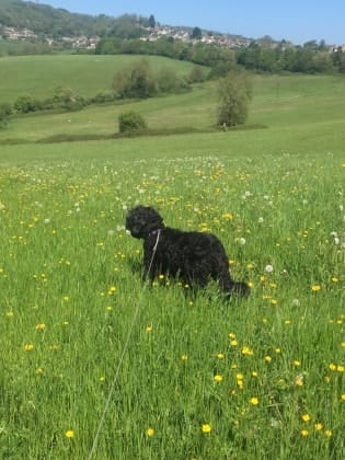 image-49