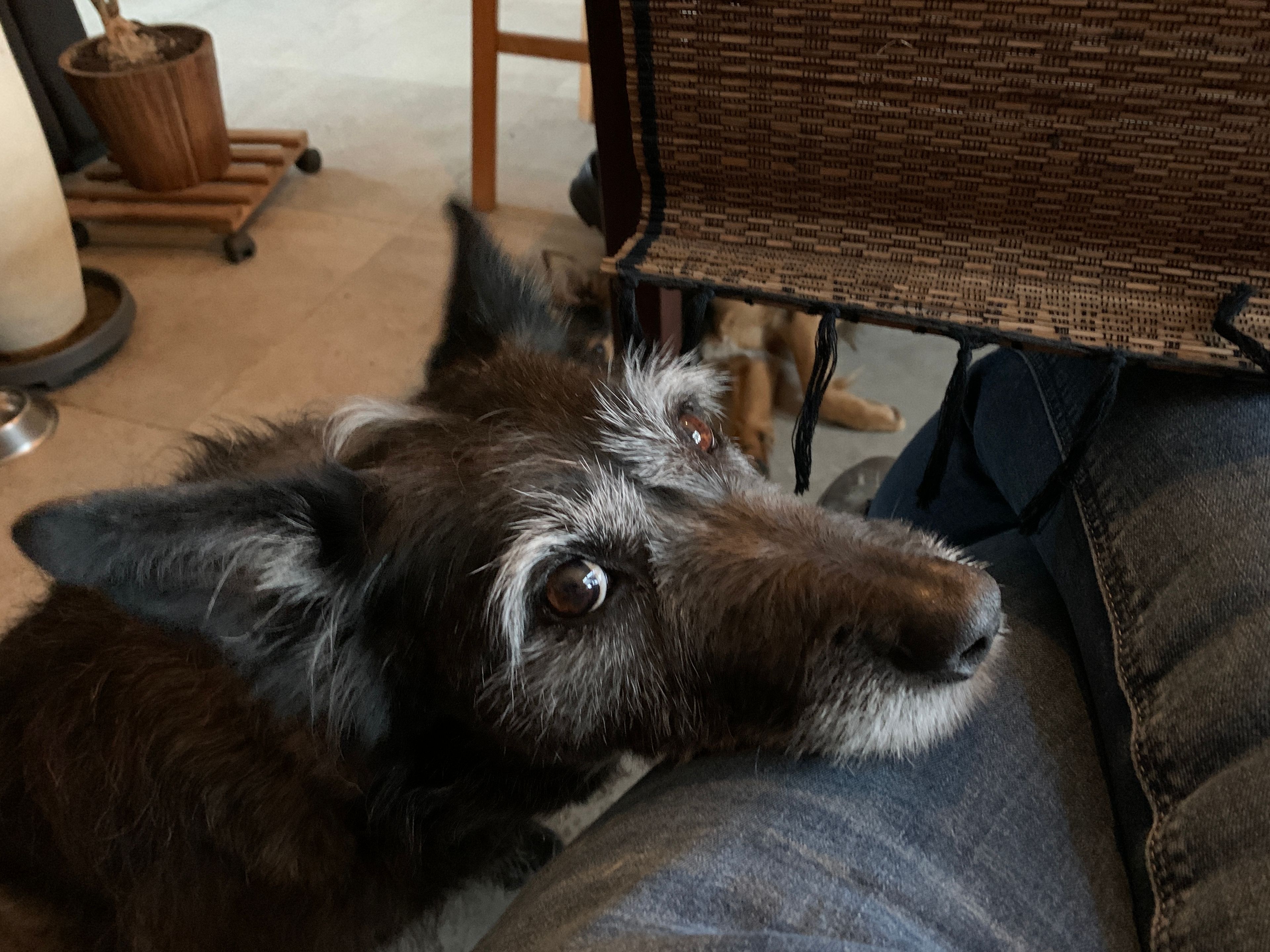 image-8
