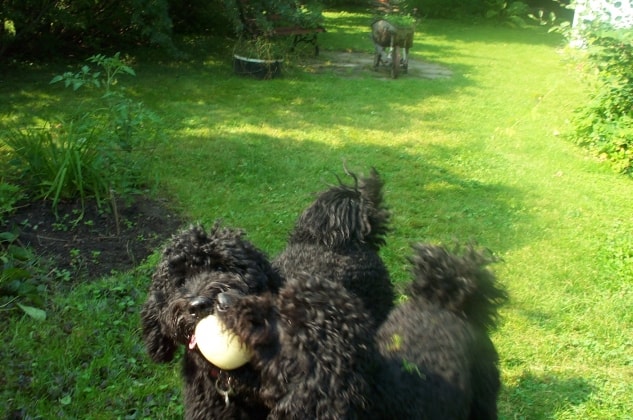 image-5