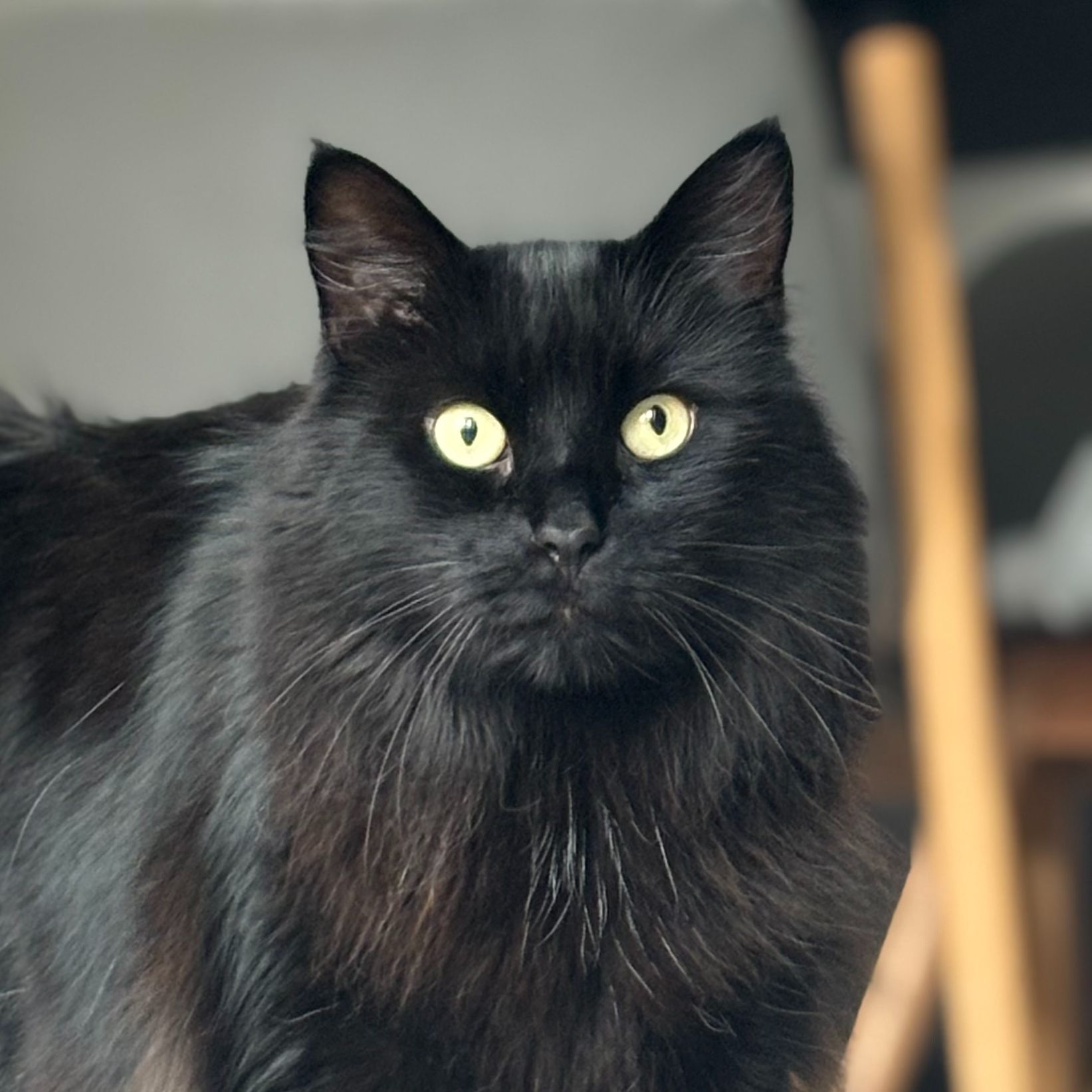 Max