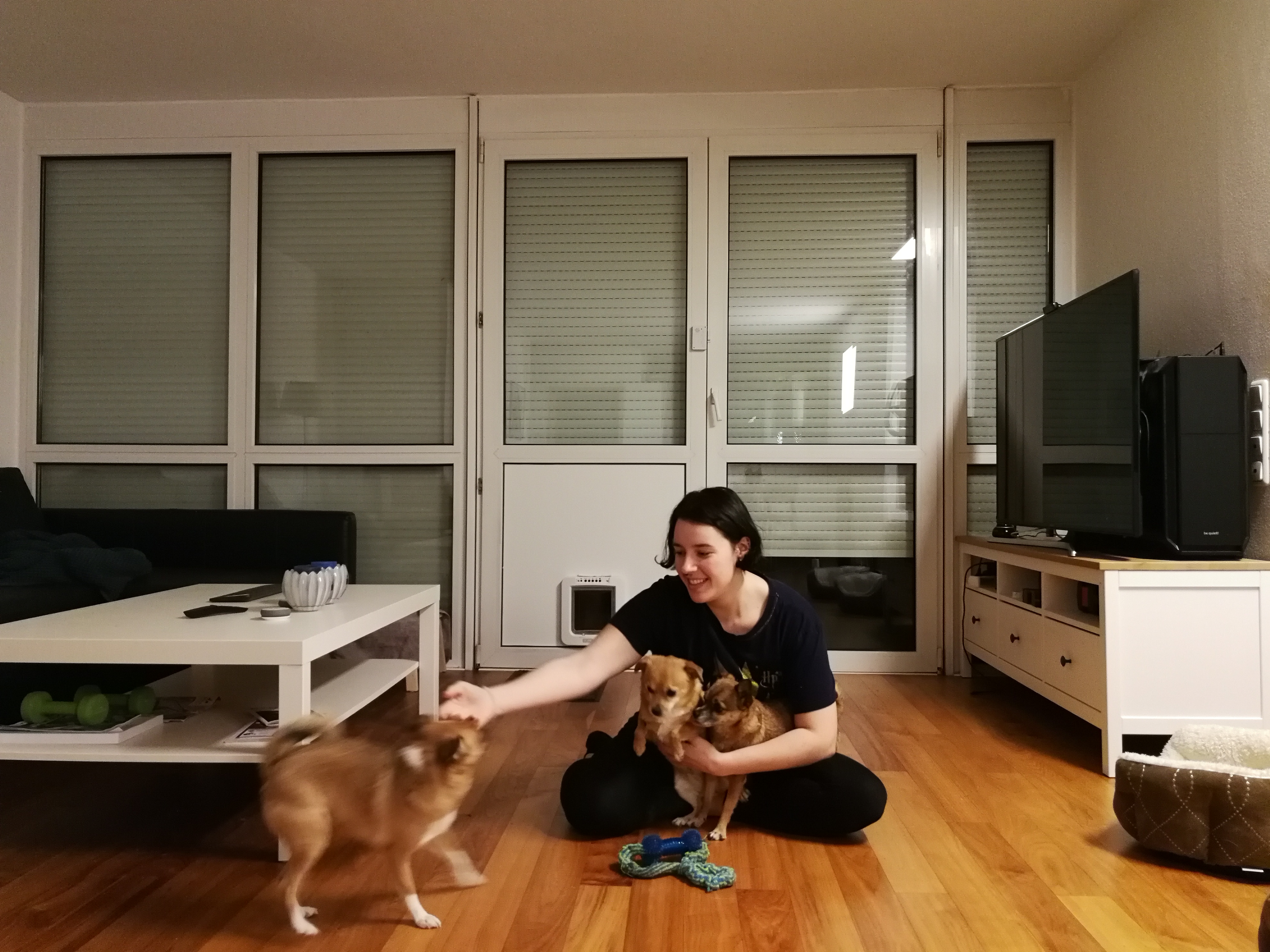 image-7