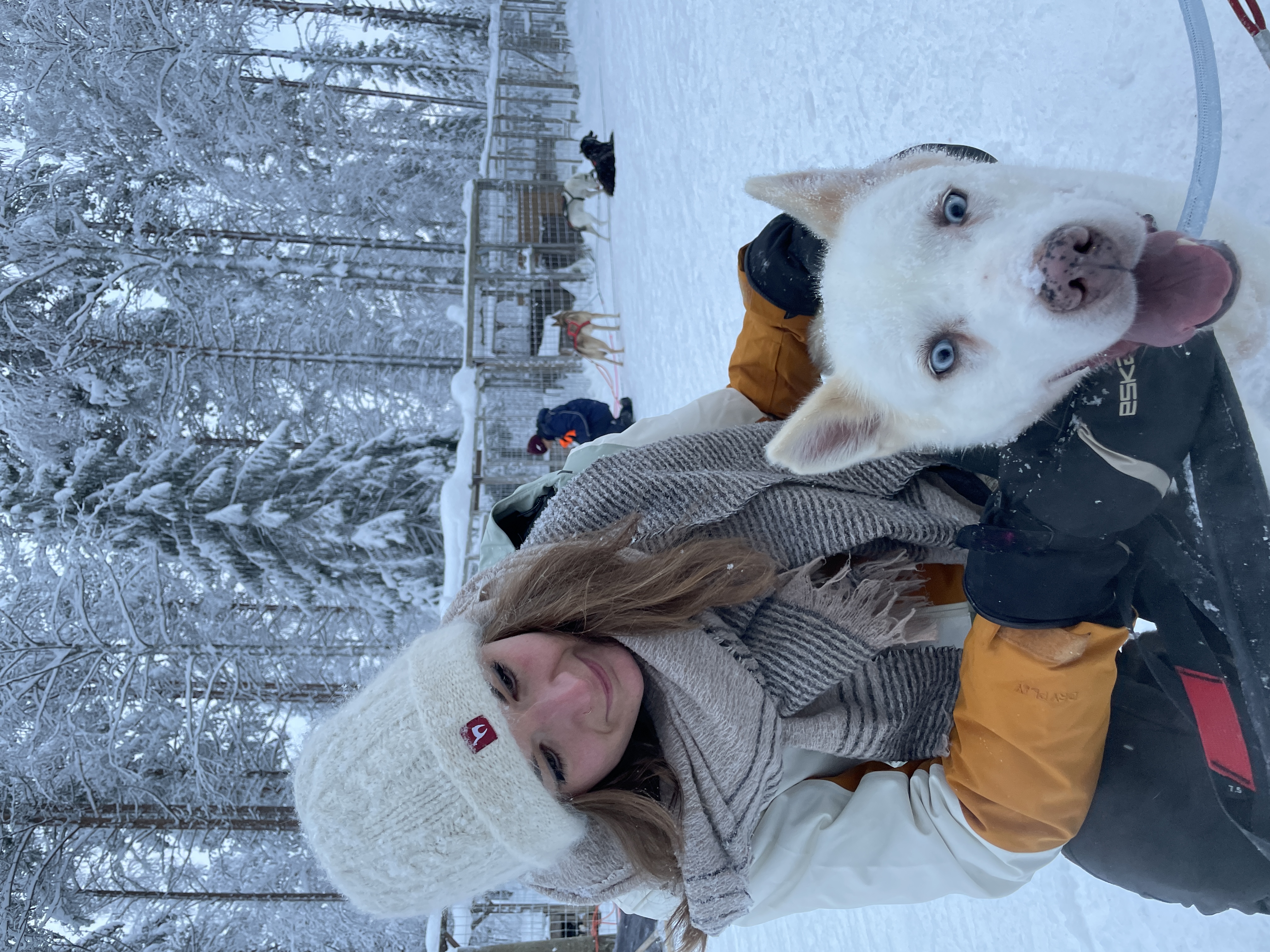 image-9