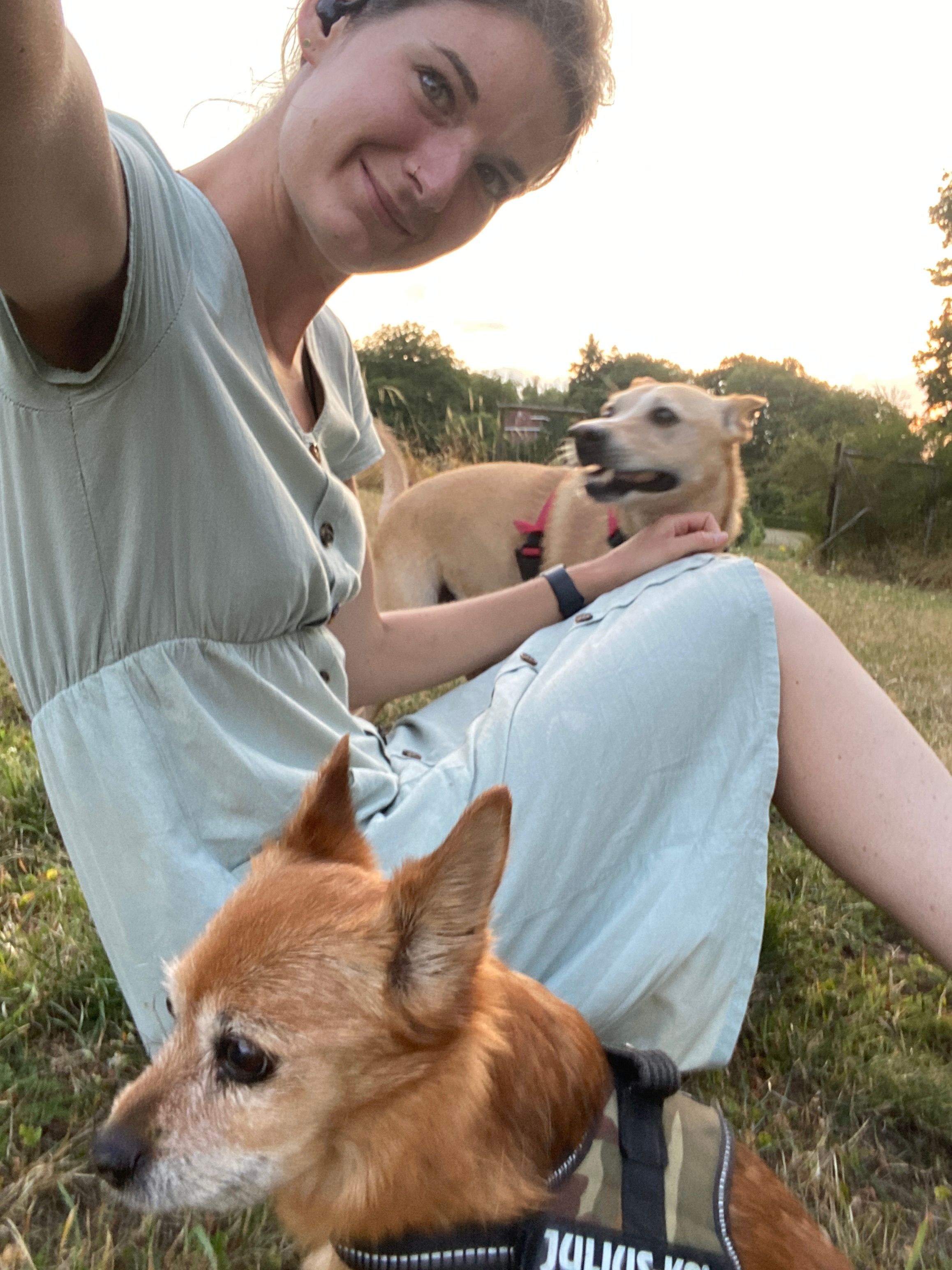 image-8