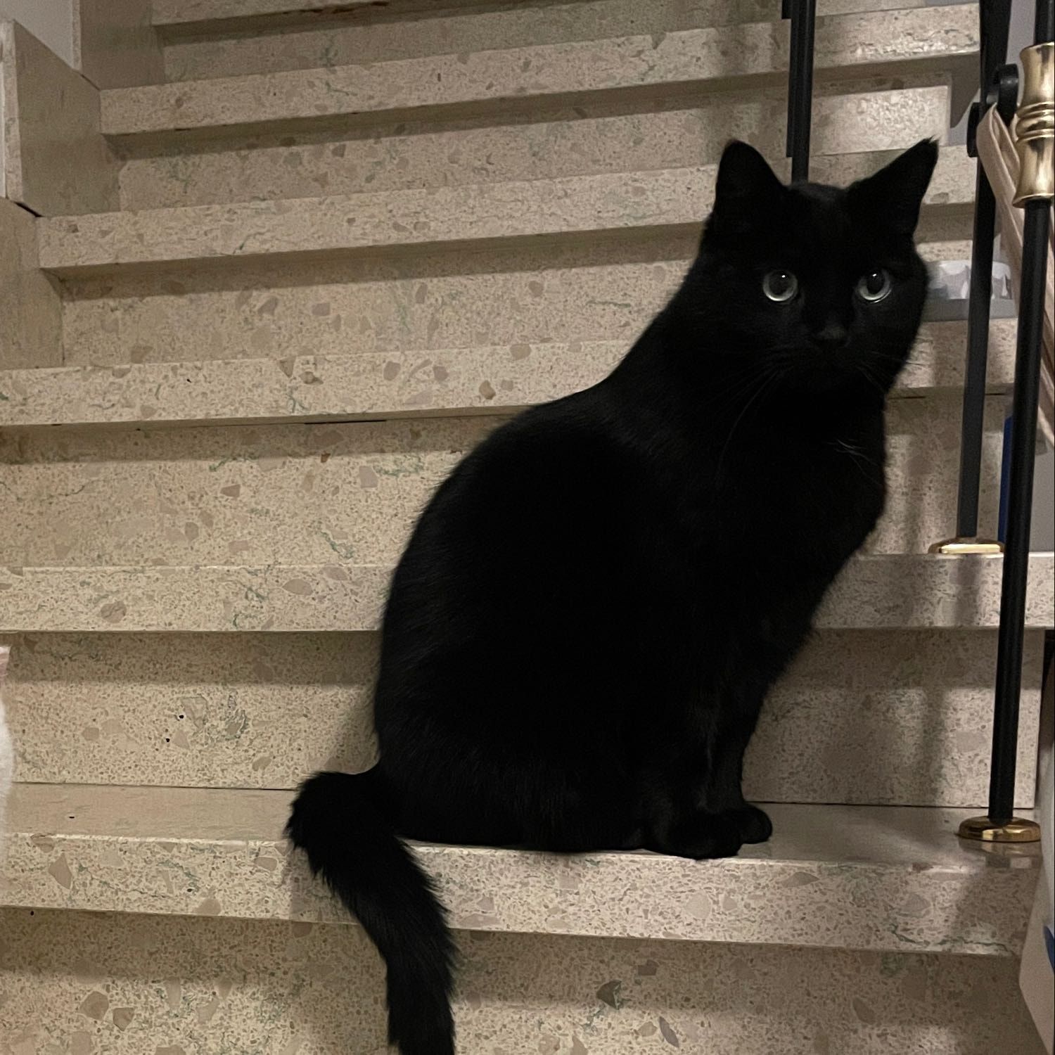 Onyx