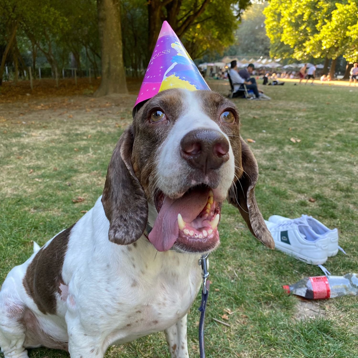 Otis