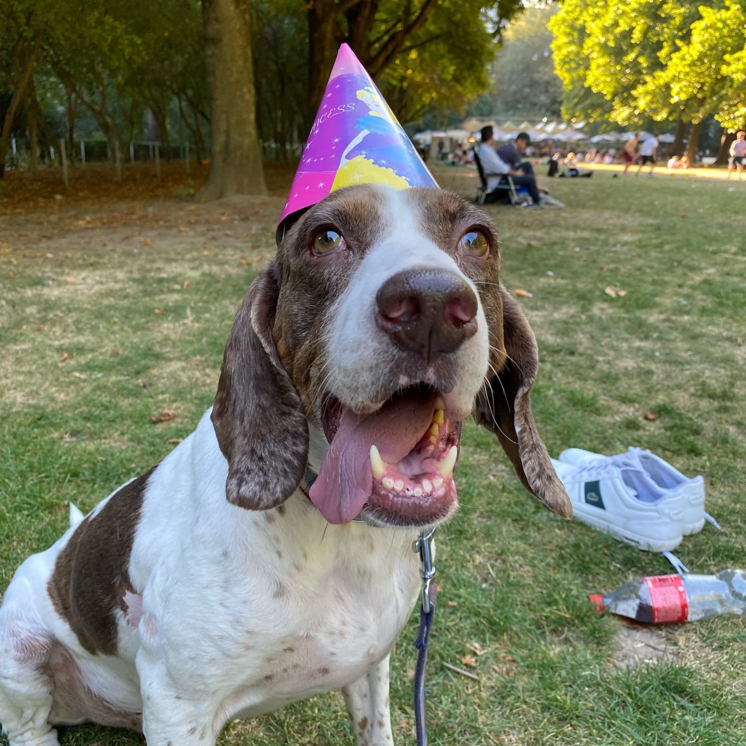 Otis