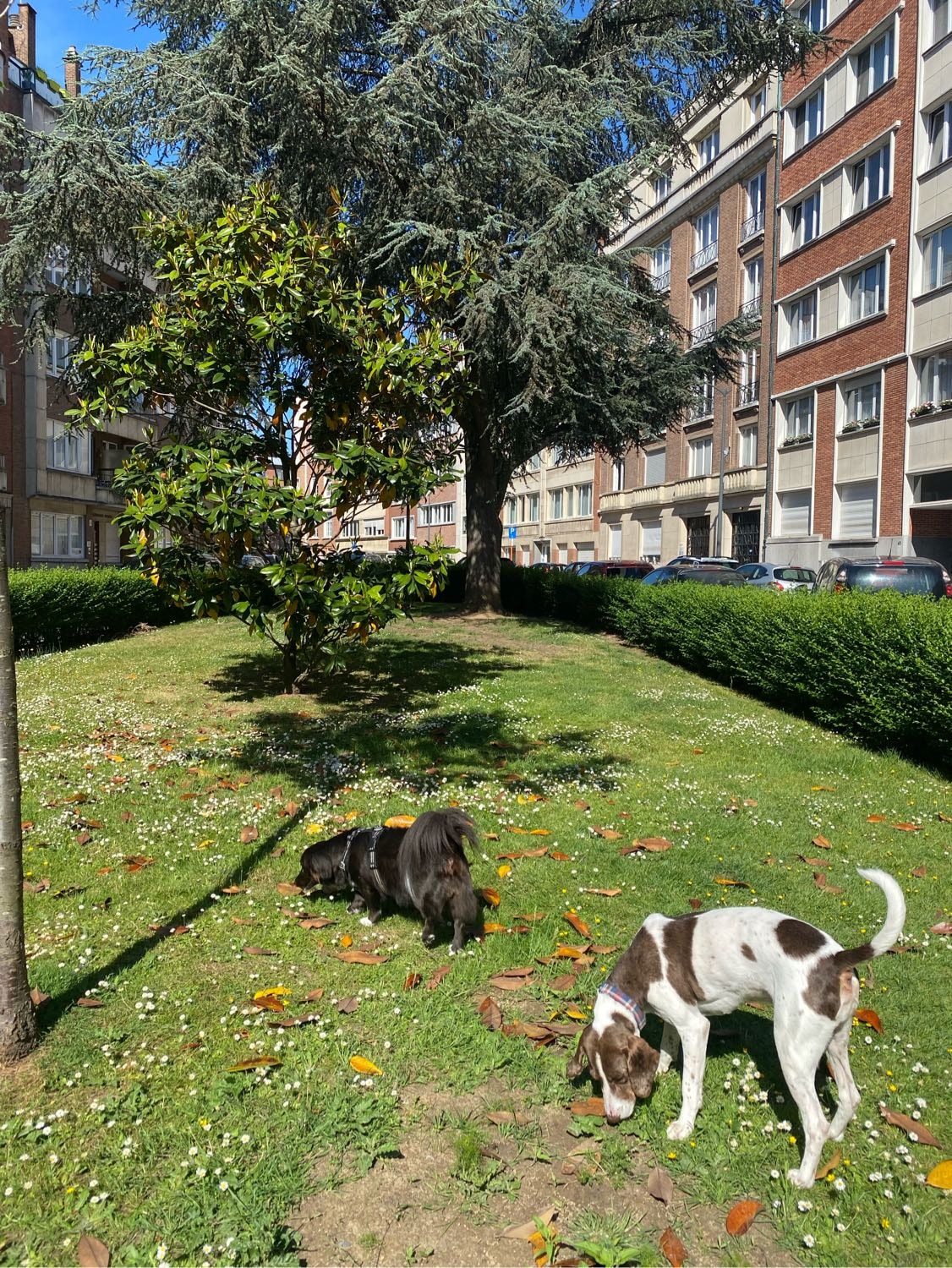 image-10