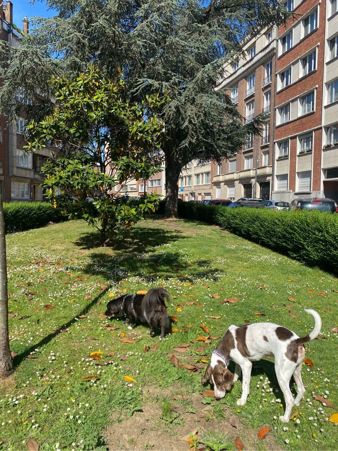 image-10