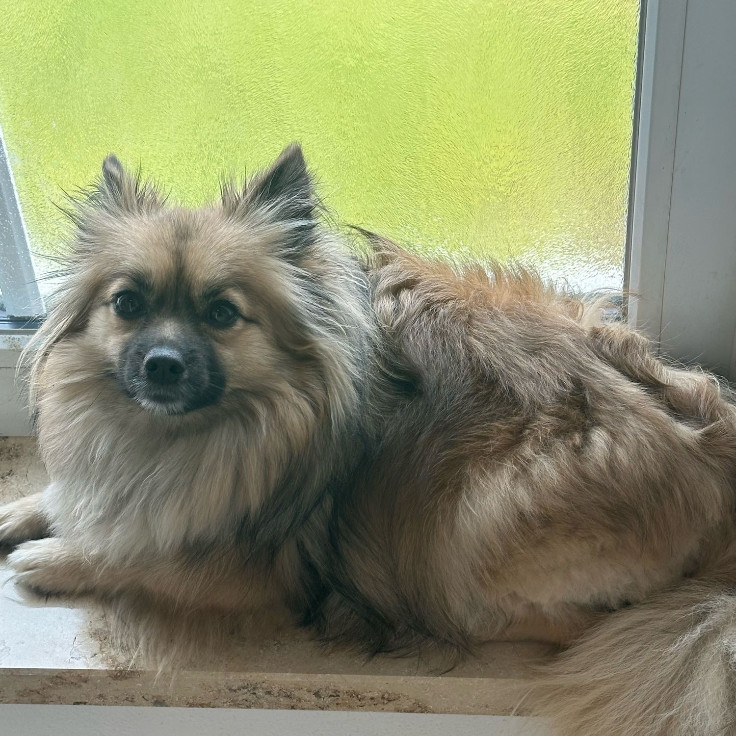 Sven