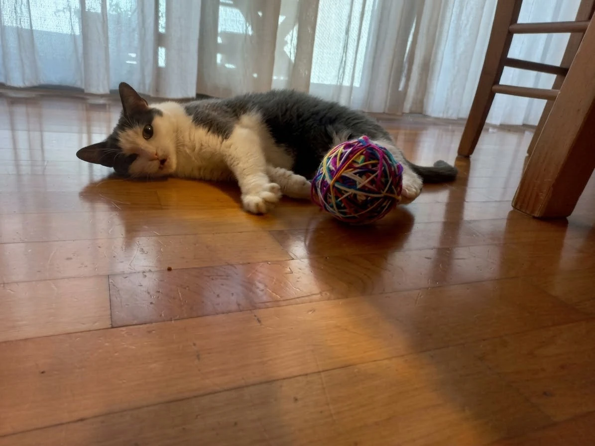 image-8
