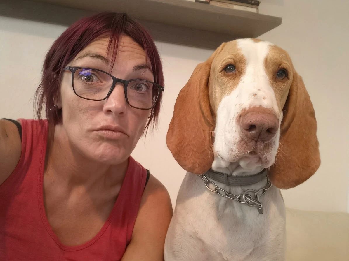 image-2