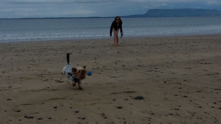 image-5