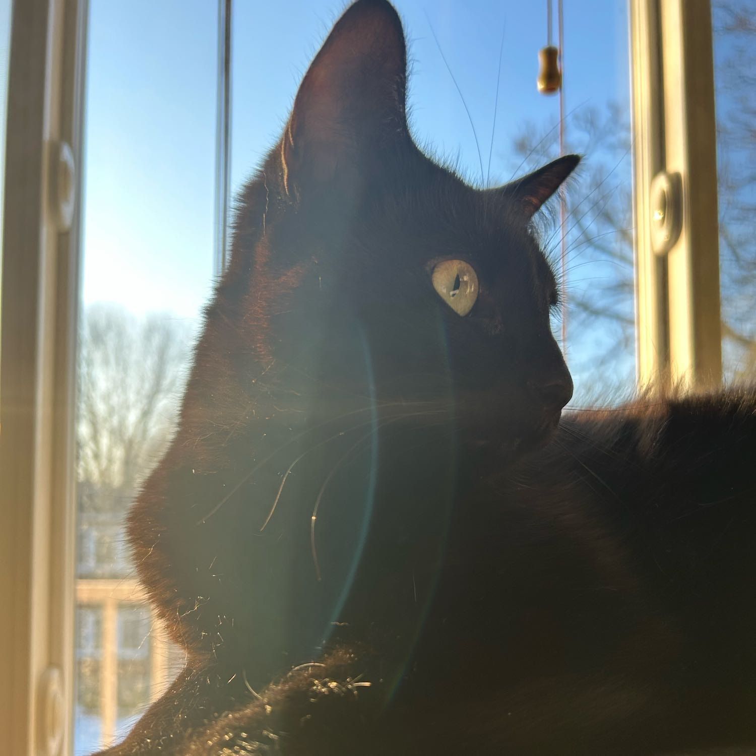 Yuki